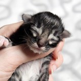 Leana - 1 day old