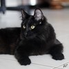 Gatina, 8 months