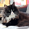 Darline, 8 ans